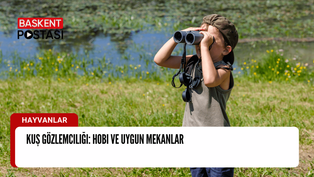 Kuş Gözlemciliği: Hobi ve Uygun Mekanlar