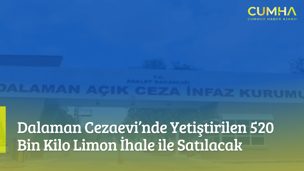 Dalaman Cezaevi’nde Yetiştirilen 520 Bin Kilo Limon İhale ile Satılacak