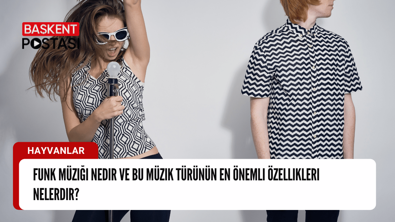 Funk Müziği: Tanım ve Önemli Özellikler