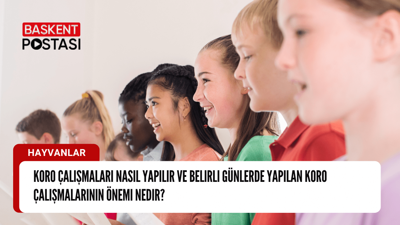 Koro Çalışmaları: Yöntemler ve Önemli Günler