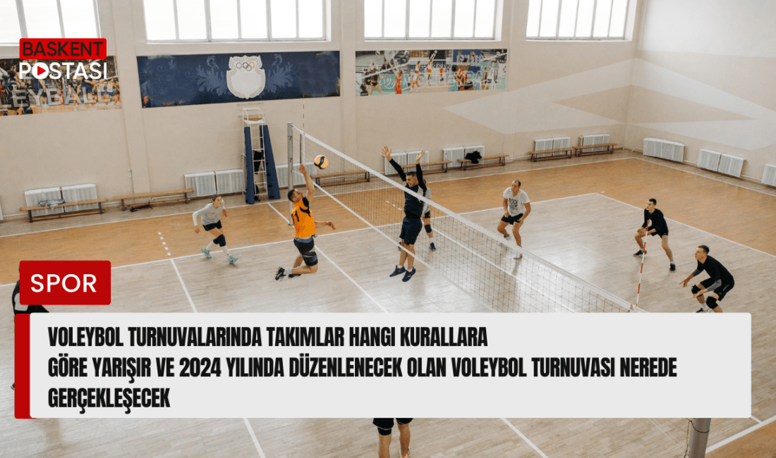 Voleybol, hem amatör hem