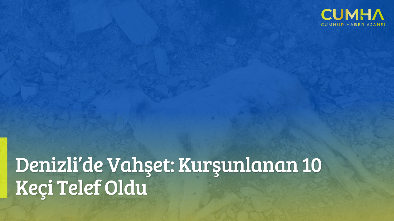 Denizli’de Vahşet: Kurşunlanan 10 Keçi Telef Oldu