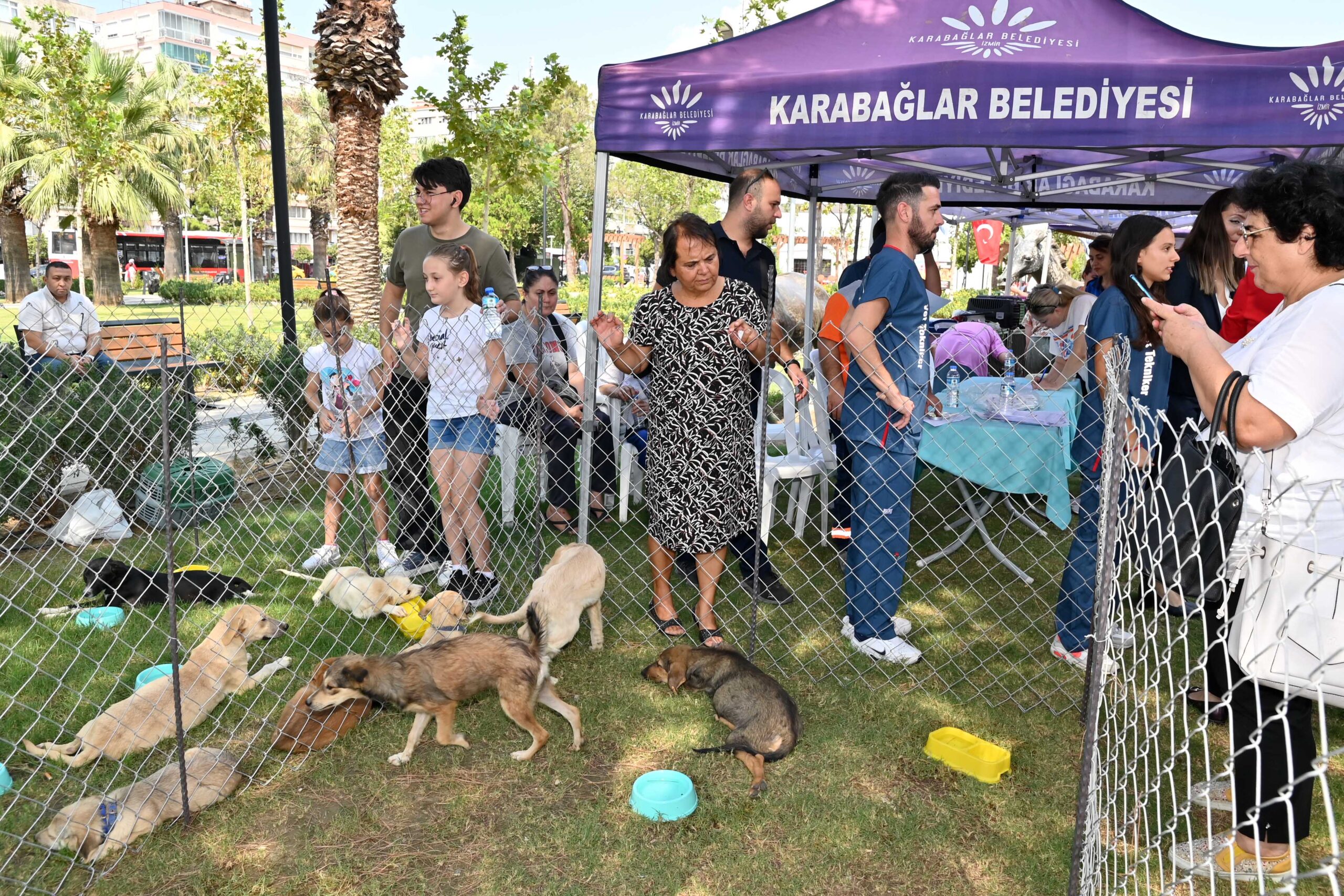 karabaglar belediyesi can dostlarini sahiplendirdi 7 scaled