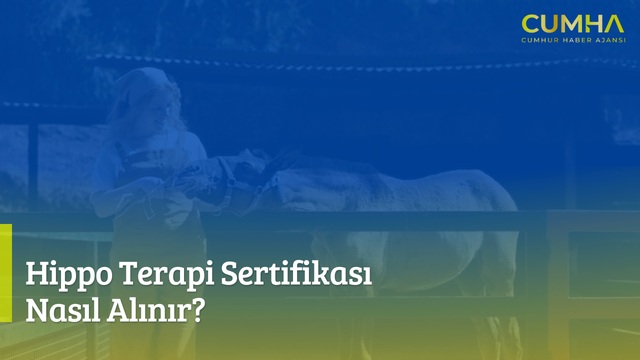 Hippo Terapi Sertifikası Nasıl Alınır?