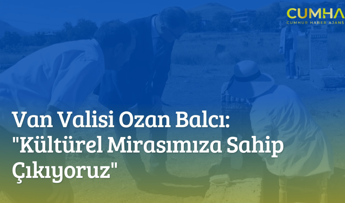 Vali Balcı, Selçuklu Mezarlığı