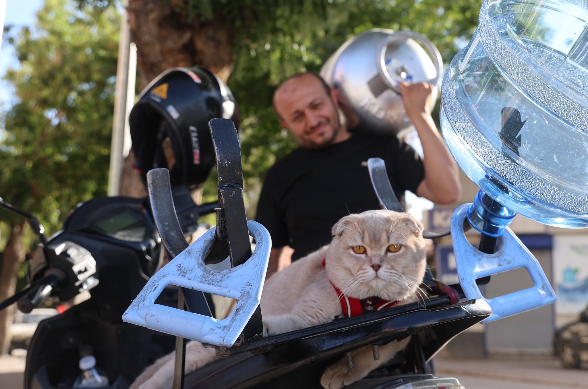 Konya'da Motosiklet Tutkunu Kedi ile Tüp ve Su Satışı