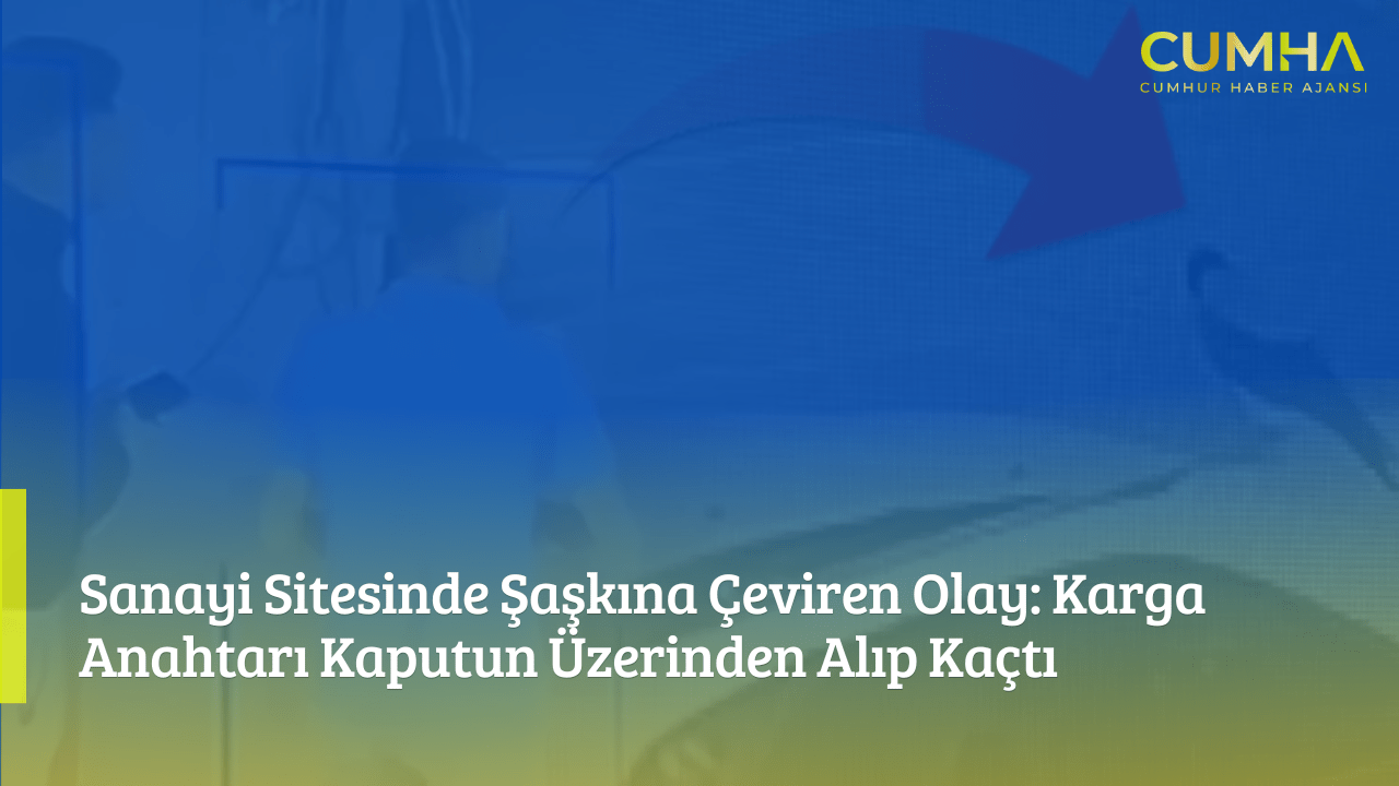 Sanayi Sitesinde Şaşkına Çeviren Olay: Karga Anahtarı Kaputun Üzerinden Alıp Kaçtı
