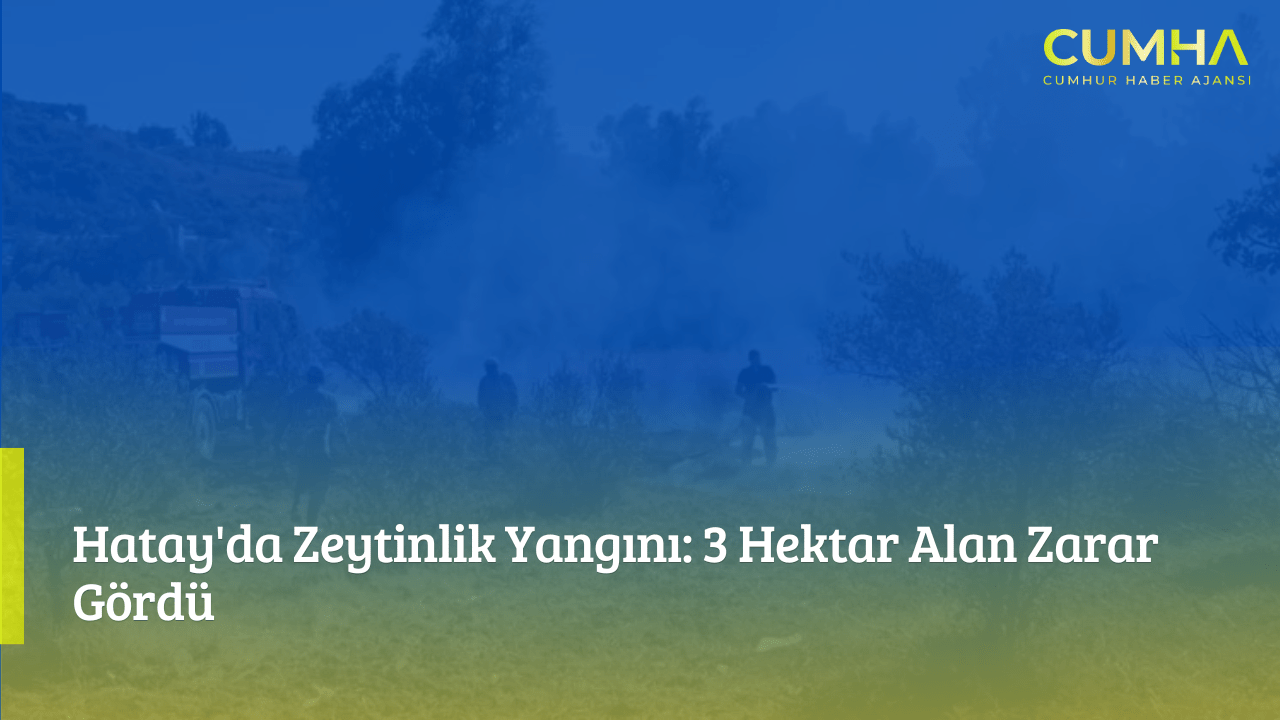 Hatay'da Zeytinlik Yangını: 3 Hektar Alan Zarar Gördü