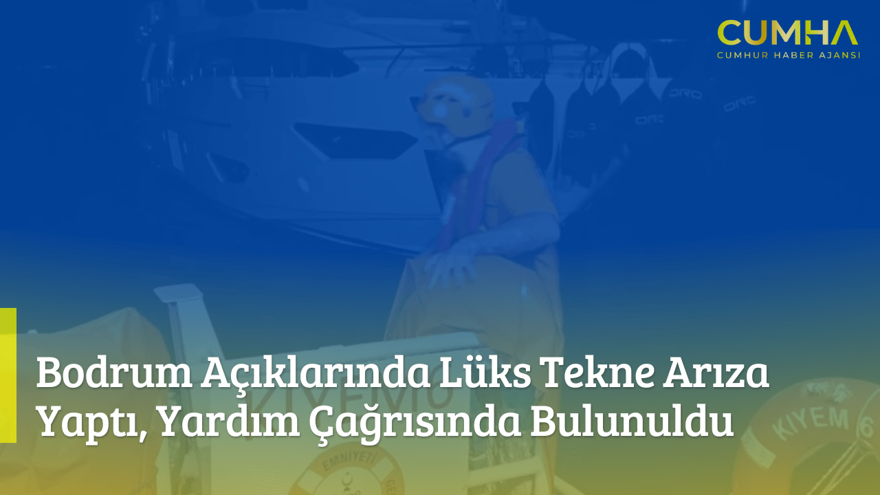 Dilan Polat ve Kardeşi Hakkında Sosyal Medyada Tepki Çeken Görüntüler