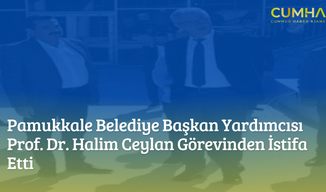  Yaklaşık 3 ay