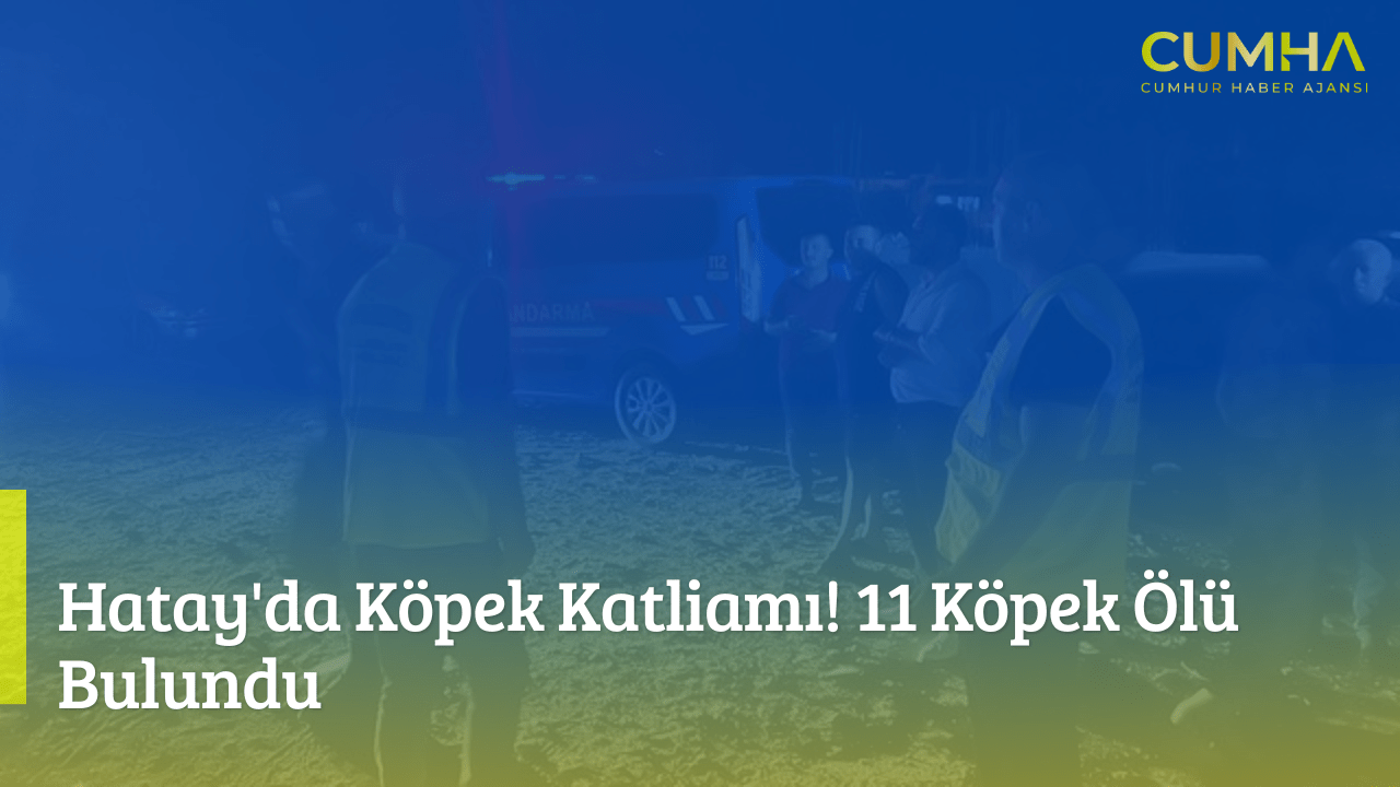 Hatay'da Köpek Katliamı! 11 Köpek Ölü Bulundu