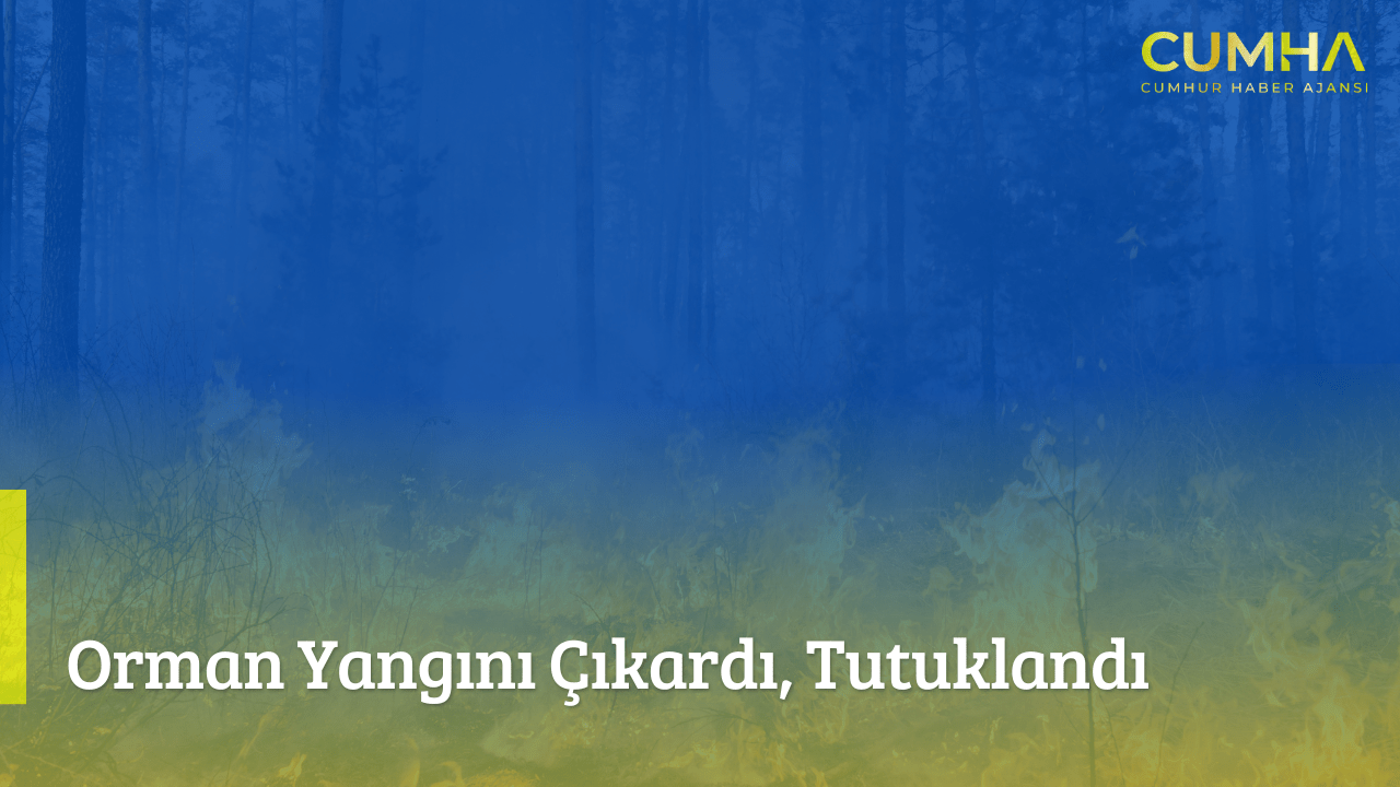 Orman Yangını Çıkardı, Tutuklandı