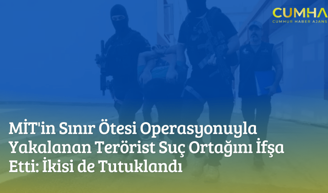 MİT'in sınır ötesi operasyonuyla