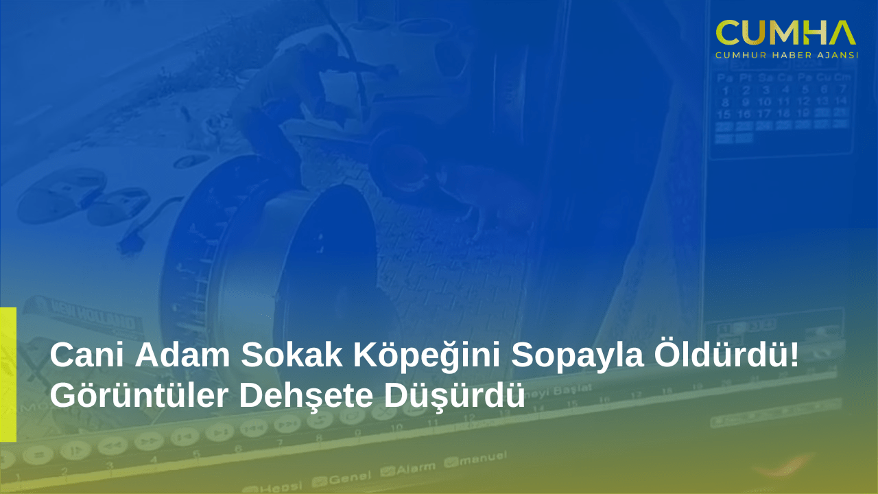 Cani Adam Sokak Köpeğini Sopayla Öldürdü! Görüntüler Dehşete Düşürdü