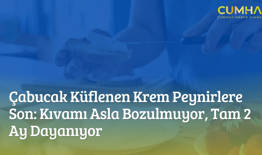 Krem peynirler kısa sürede