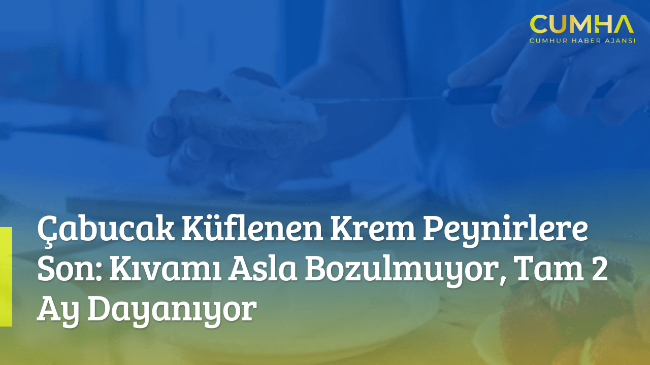Çabucak Küflenen Krem Peynirlere Son: Kıvamı Asla Bozulmuyor, Tam 2 Ay Dayanıyor