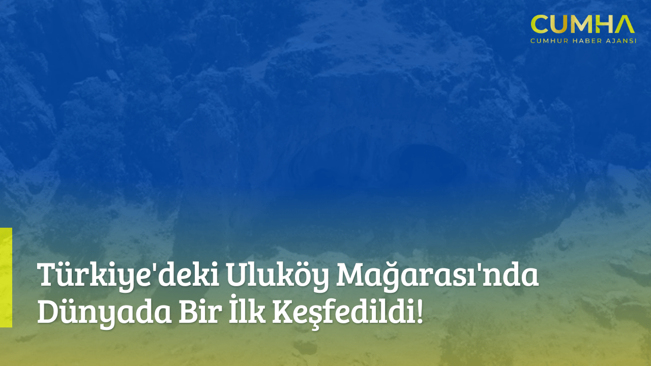 Türkiye'deki Uluköy Mağarası'nda Dünyada Bir İlk Keşfedildi!
