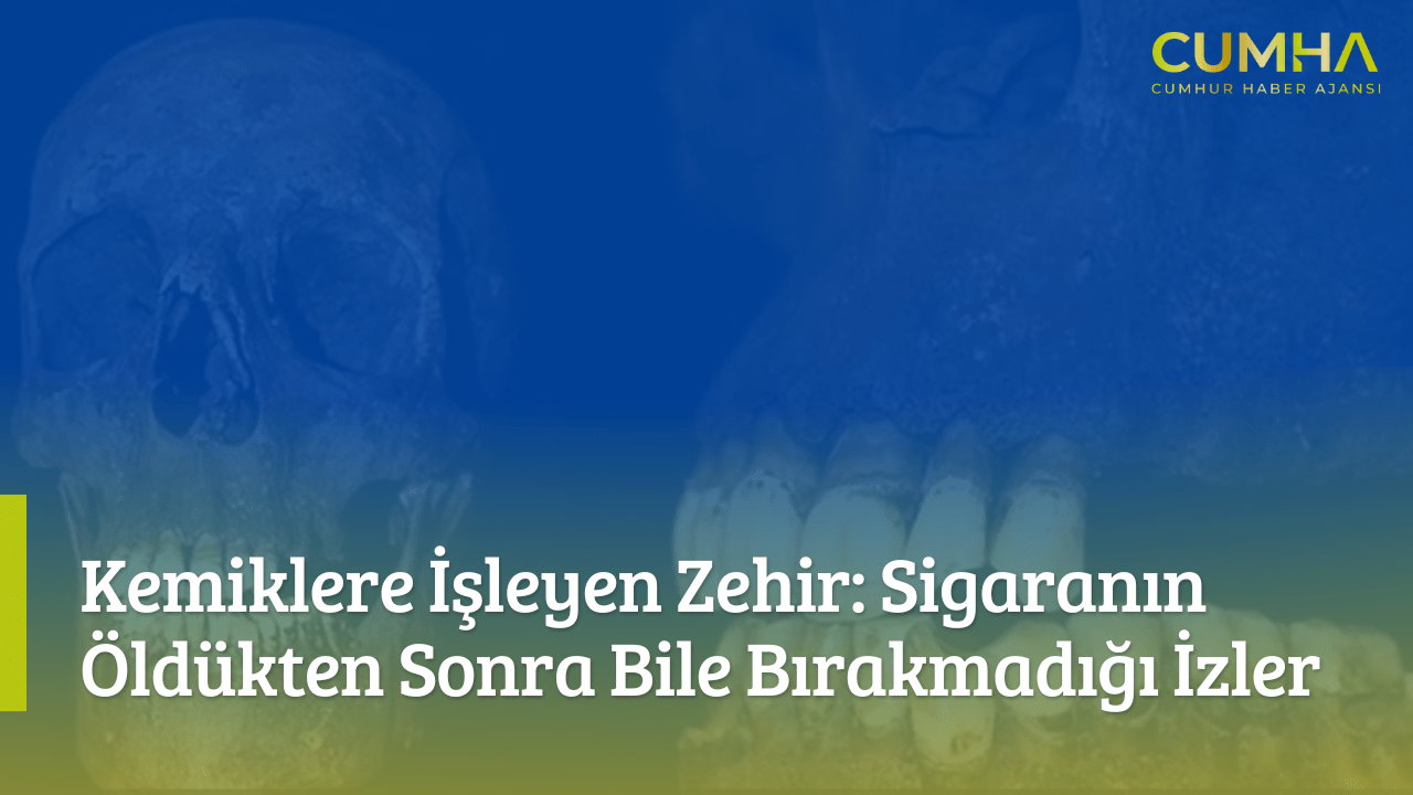 Kemiklere İşleyen Zehir: Sigaranın Öldükten Sonra Bile Bırakmadığı İzler