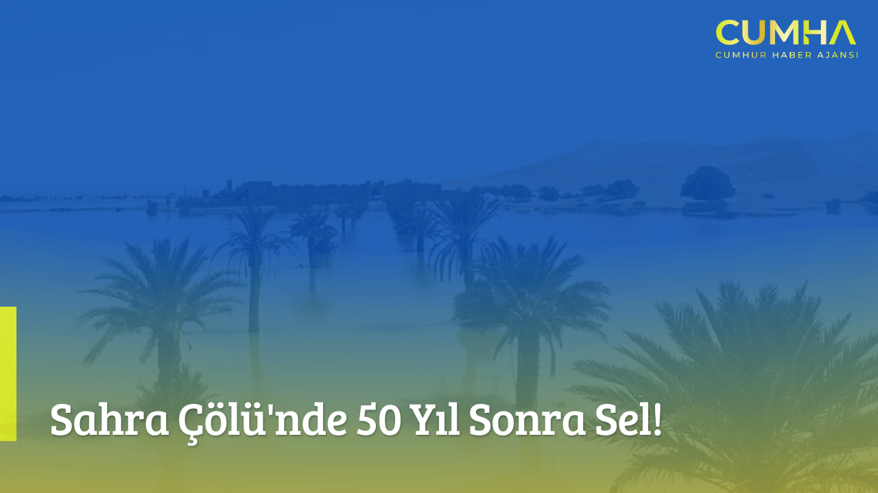 Sahra Çölü'nde 50 Yıl Sonra Sel!