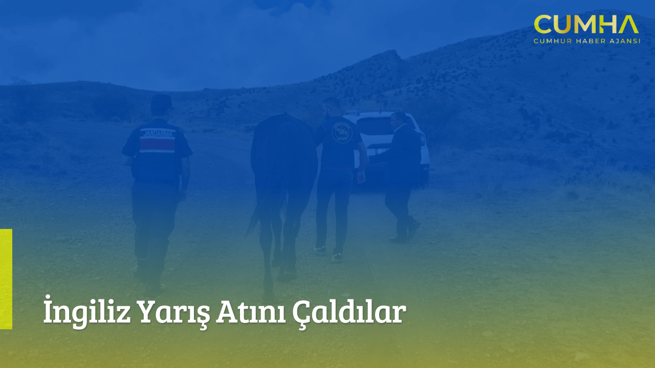 İngiliz Yarış Atını Çaldılar