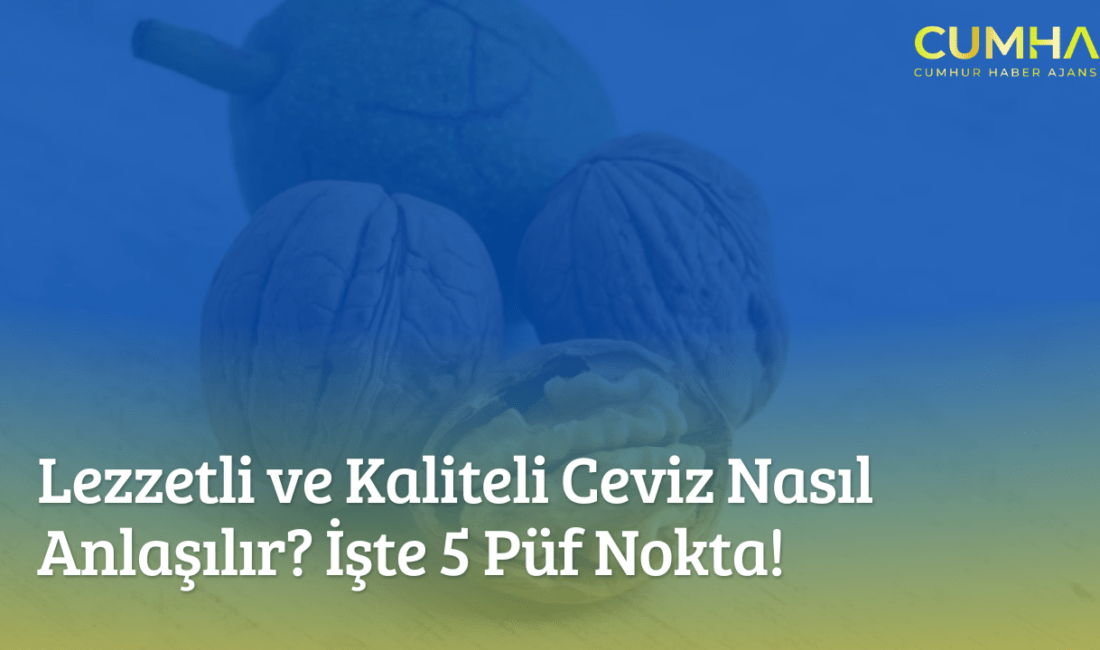 Yerli cevizde kalite farkını