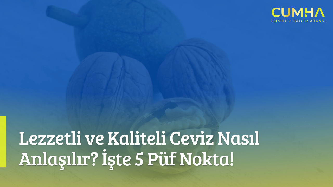 Lezzetli ve Kaliteli Ceviz Nasıl Anlaşılır? İşte 5 Püf Nokta!