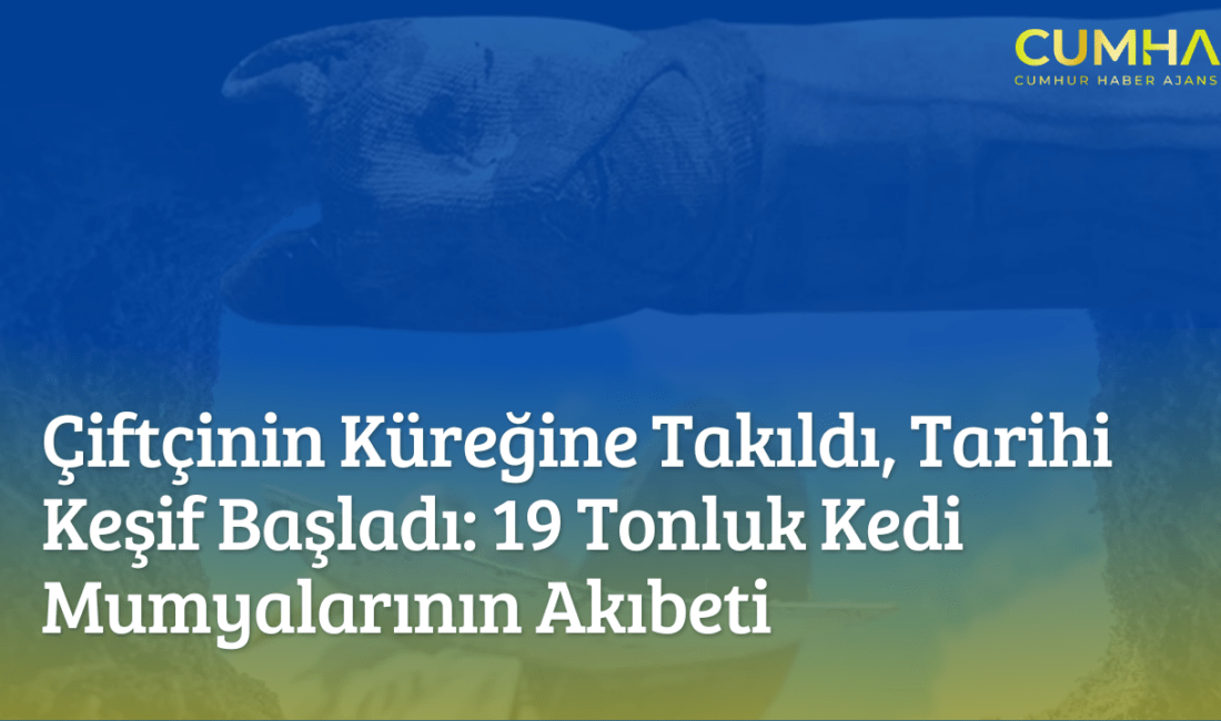 1888’de bir çiftçinin tesadüfen