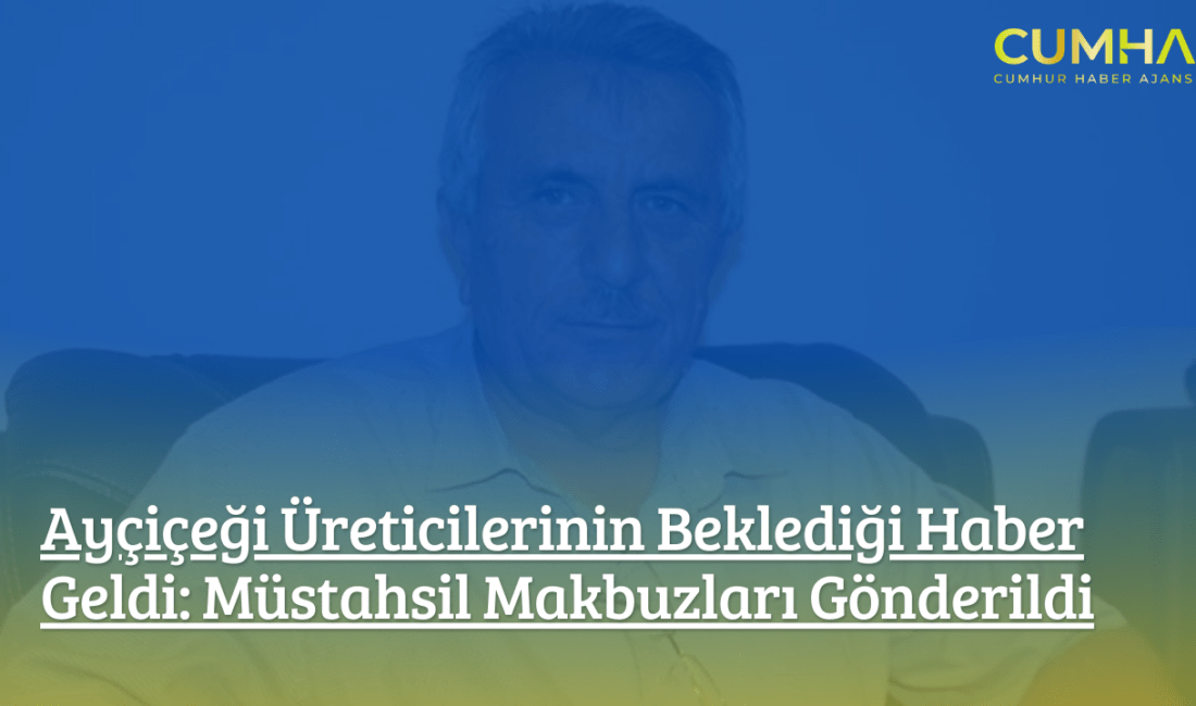 Çorum ve ilçelerindeki ayçiçeği