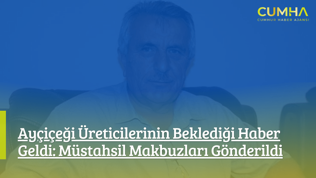 Ayçiçeği Üreticilerinin Beklediği Haber Geldi: Müstahsil Makbuzları Gönderildi