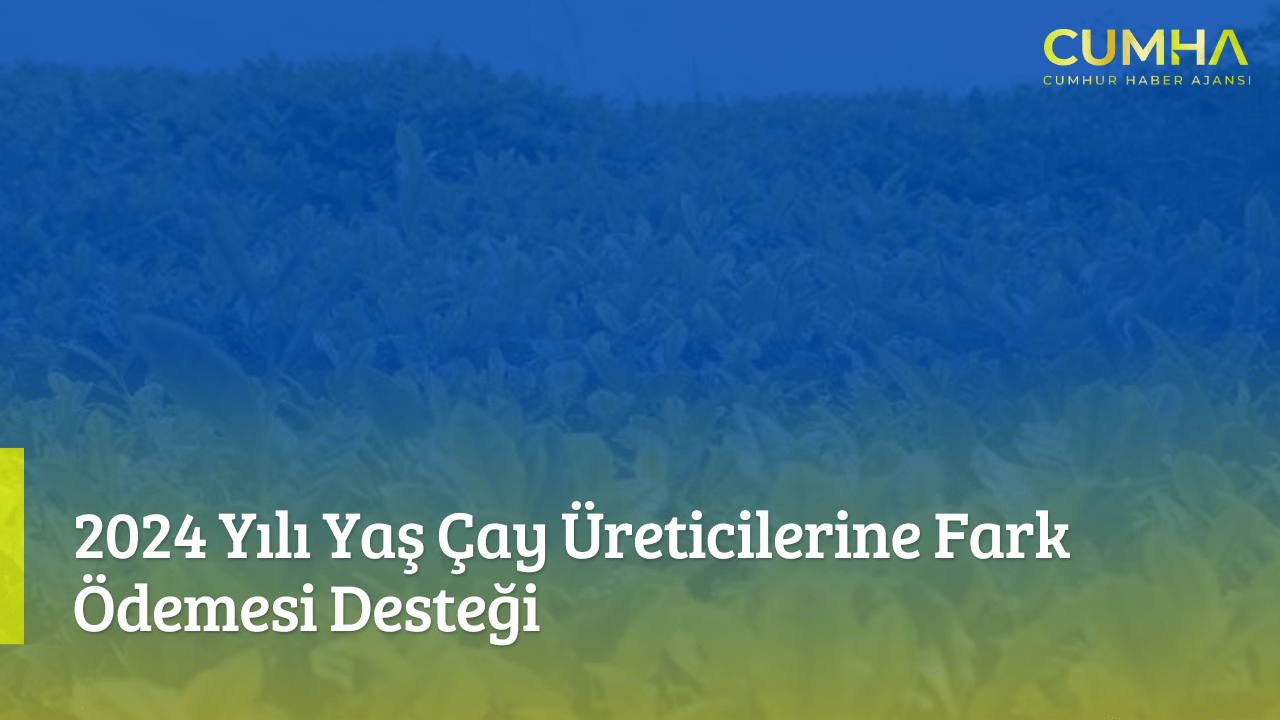 2024 Yılı Yaş Çay Üreticilerine Fark Ödemesi Desteği