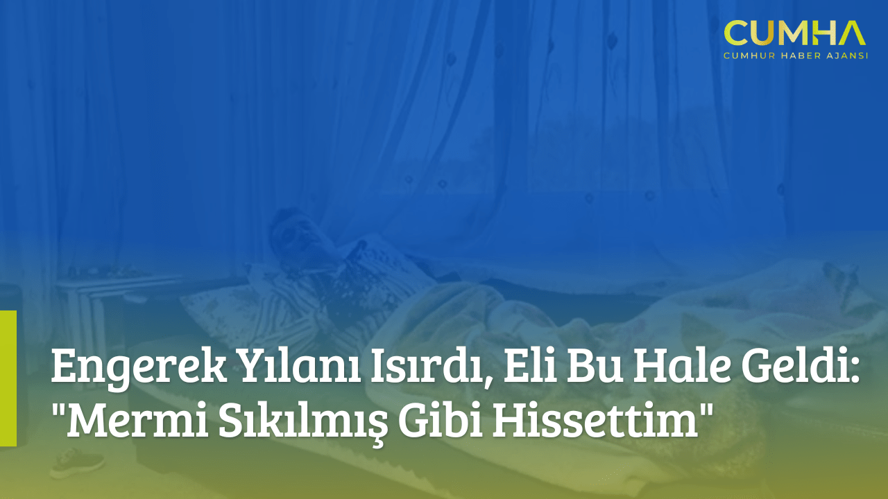 Engerek Yılanı Isırdı, Eli Bu Hale Geldi: "Mermi Sıkılmış Gibi Hissettim"