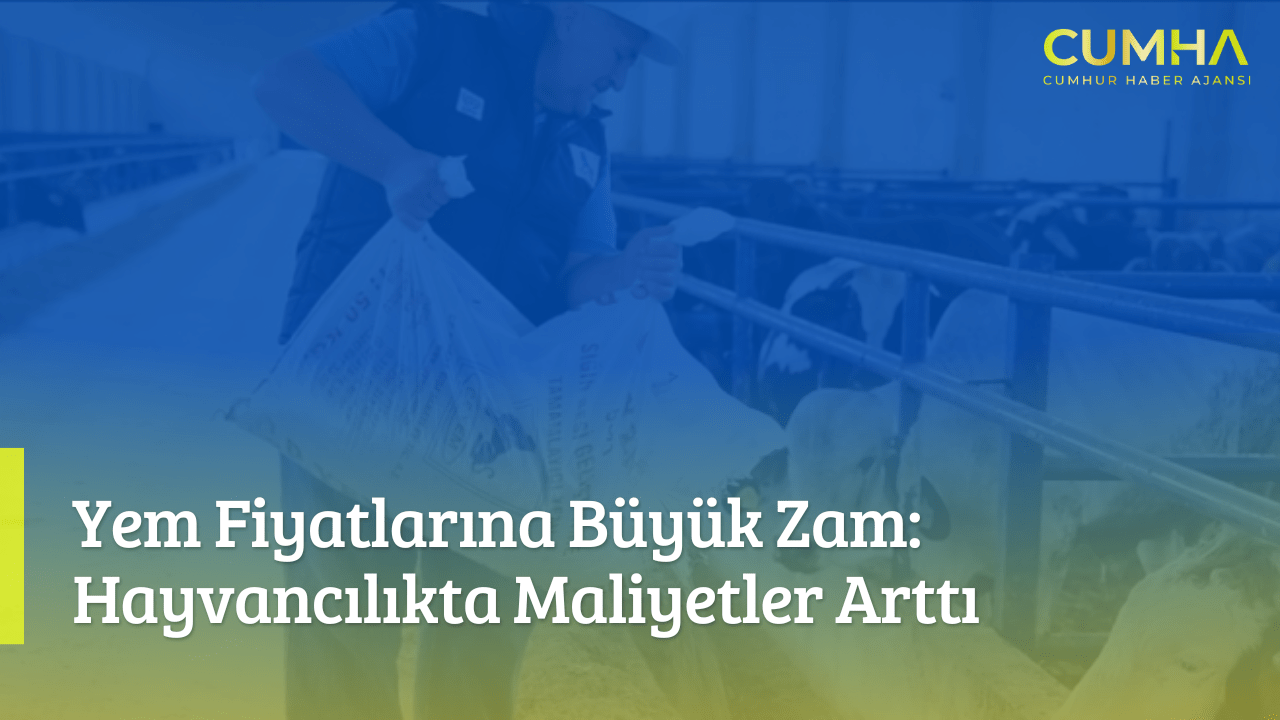 Yem Fiyatlarına Büyük Zam: Hayvancılıkta Maliyetler Arttı