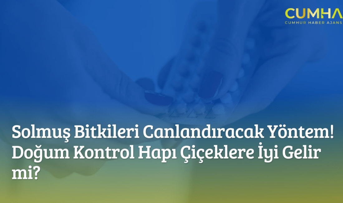 Evde çiçek bakımıyla ilgilenenler