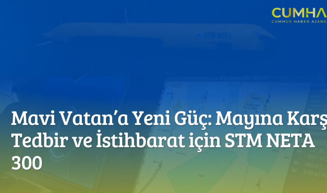 Türk savunma sanayii, STM