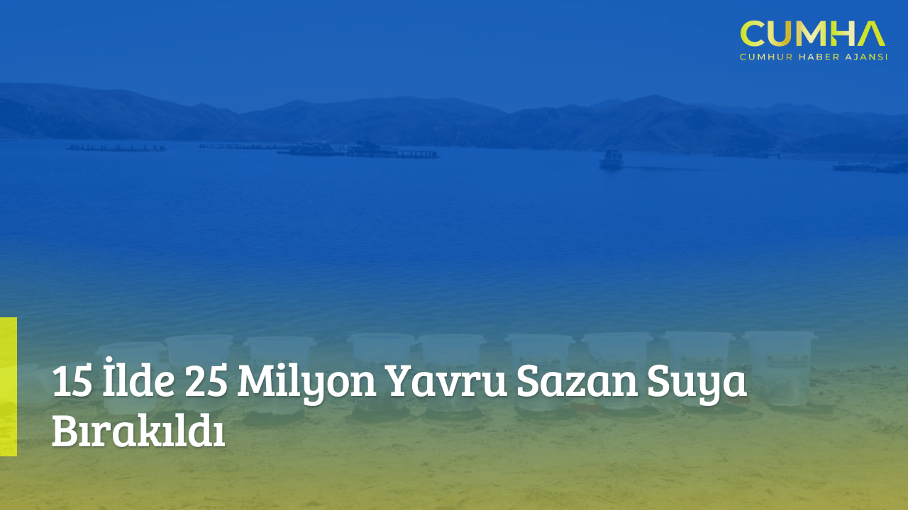15 İlde 25 Milyon Yavru Sazan Suya Bırakıldı