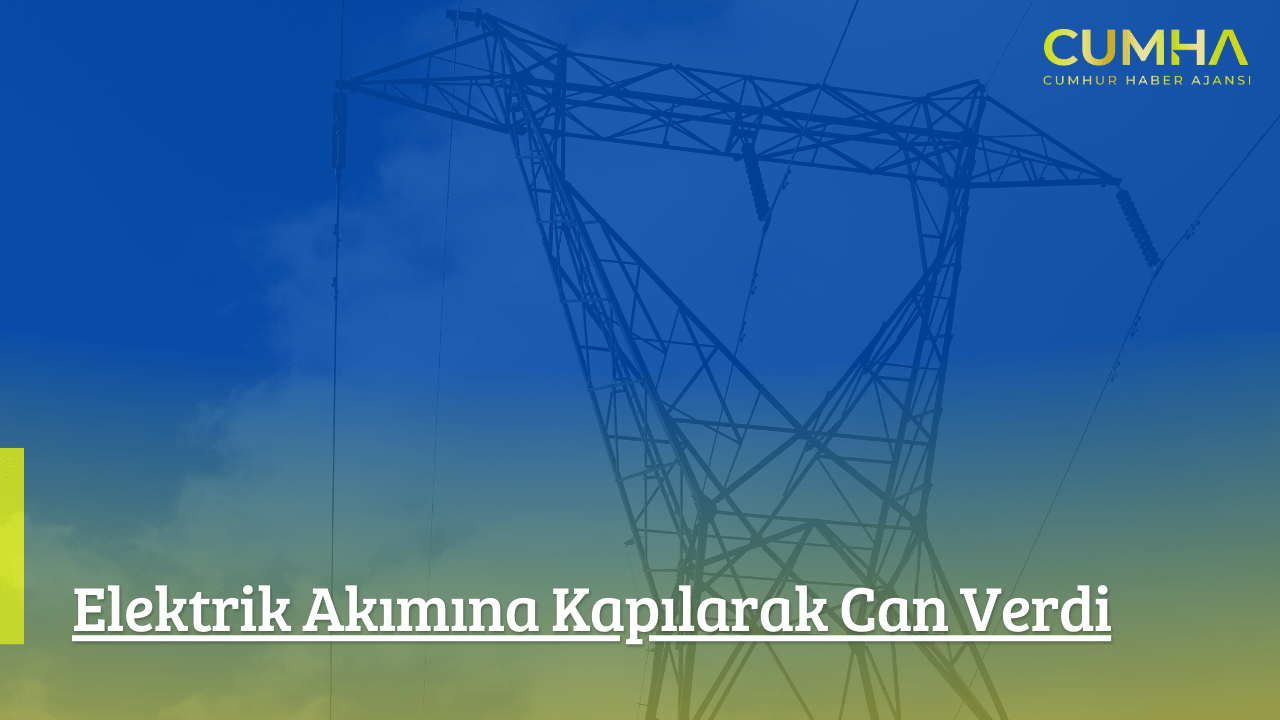 Elektrik Akımına Kapılarak Can Verdi