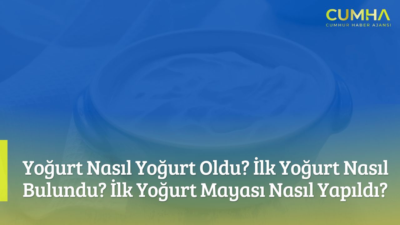 Yoğurt Nasıl Yoğurt Oldu? İlk Yoğurt Nasıl Bulundu? İlk Yoğurt Mayası Nasıl Yapıldı?