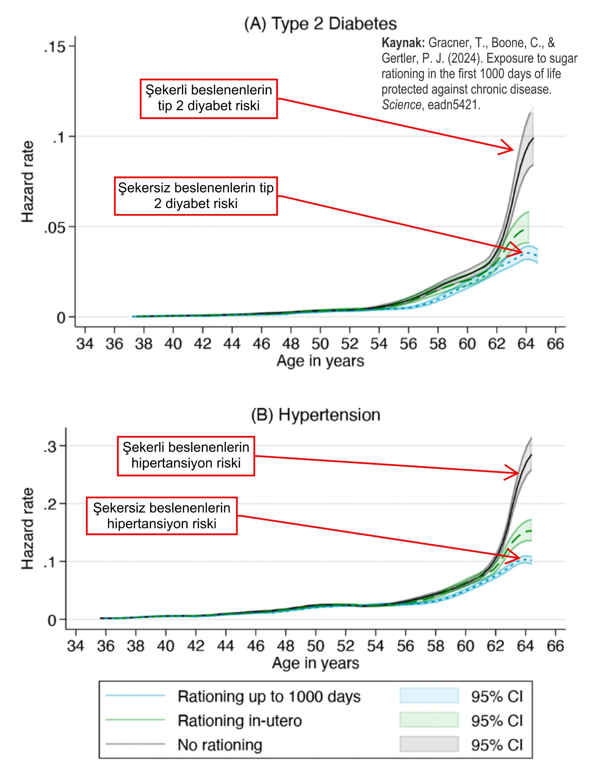 Bebeğin İlk 1000 Gününde Beslenmenin Önemi: Şekerli Gıdalardan Kaçınmanın Geleceğe Etkileri