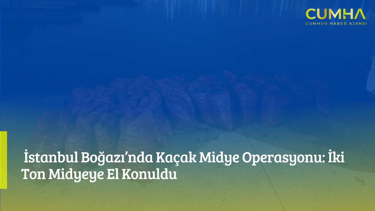 İstanbul Boğazı’nda Kaçak Midye Operasyonu: İki Ton Midyeye El Konuldu