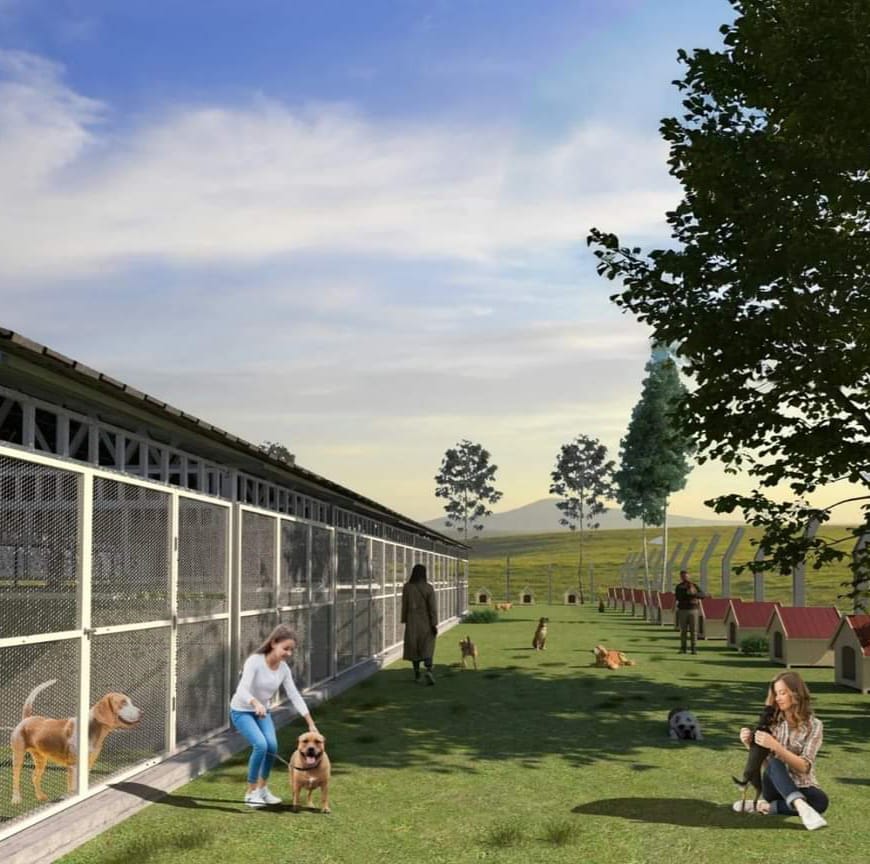 NALLIHAN BELEDİYESİ'NDEN MODERN HAYVAN BARINAĞI PROJESİ