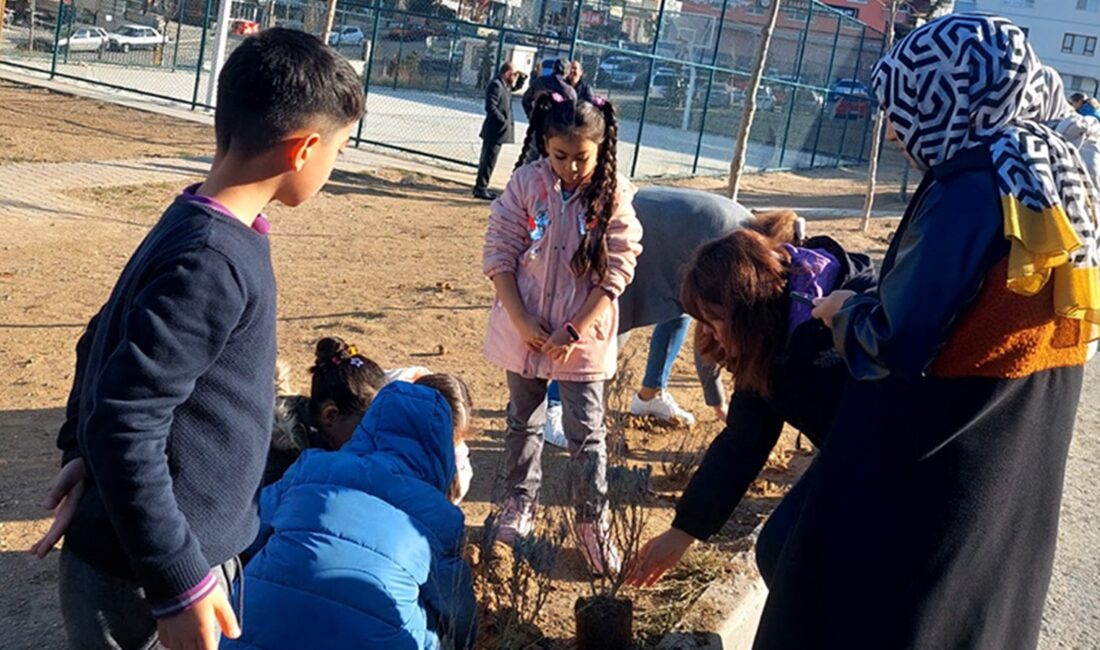 Öğrenciler fidan dikti