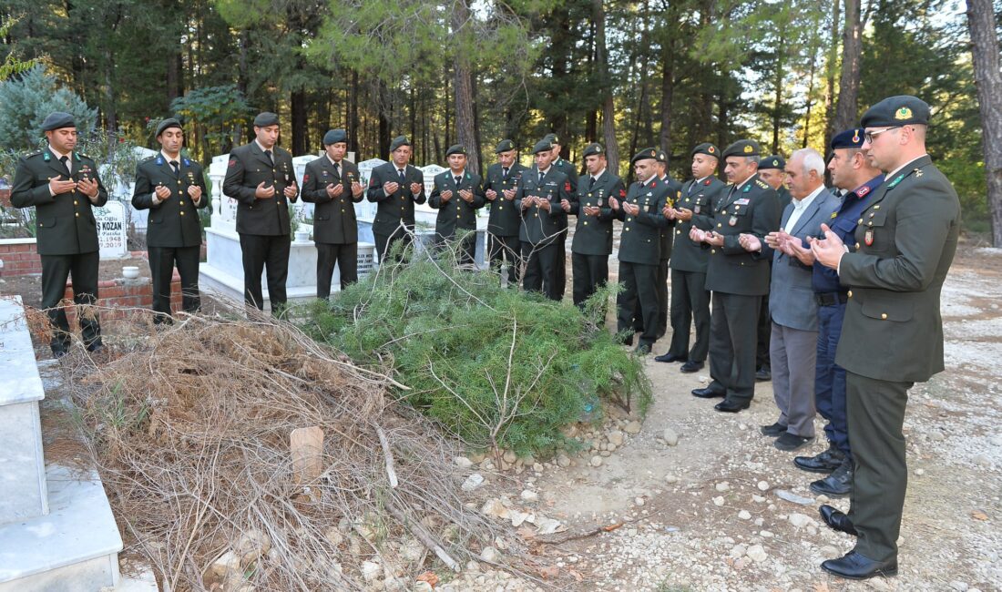 2018 yılında başlayan Zeytin