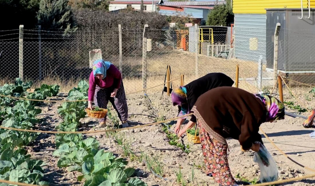 Belediye bünyesinde yaklaşık 1,5