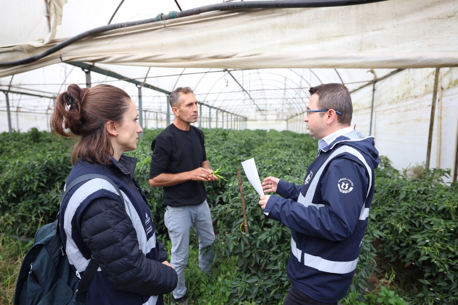 TARIMDA VERİM VE KALİTE ARTIYOR