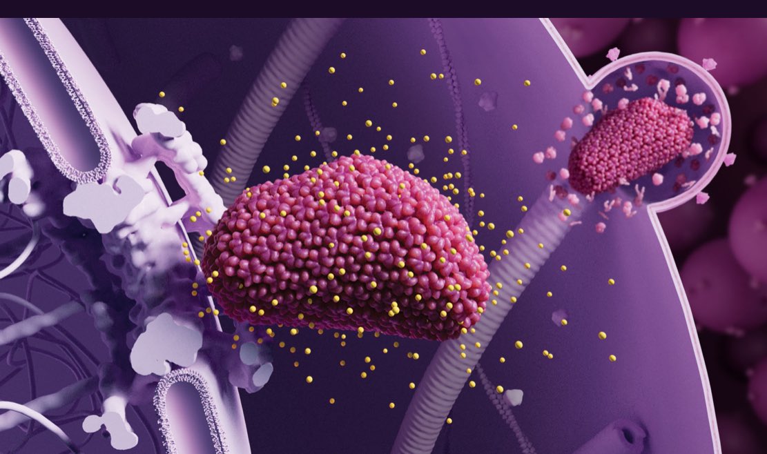 HIV'e Karşı Çığır Açan İlaç: Lenacapavir %100 Etkili Bulundu