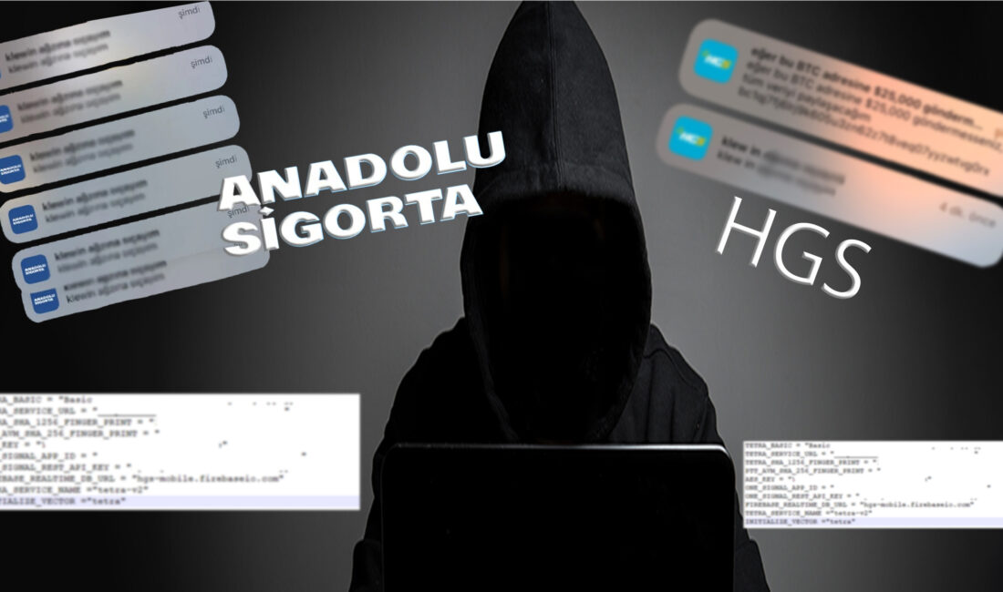 HGS ve Anadolu Sigorta'nın