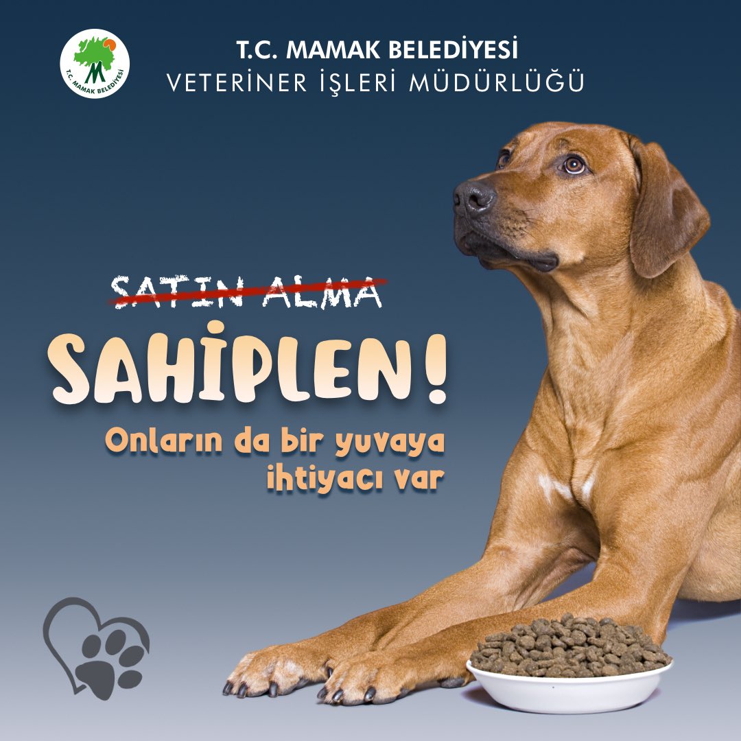 Mamak Belediyesi’nden ‘Satın Alma, Sahiplen’ Çağrısı