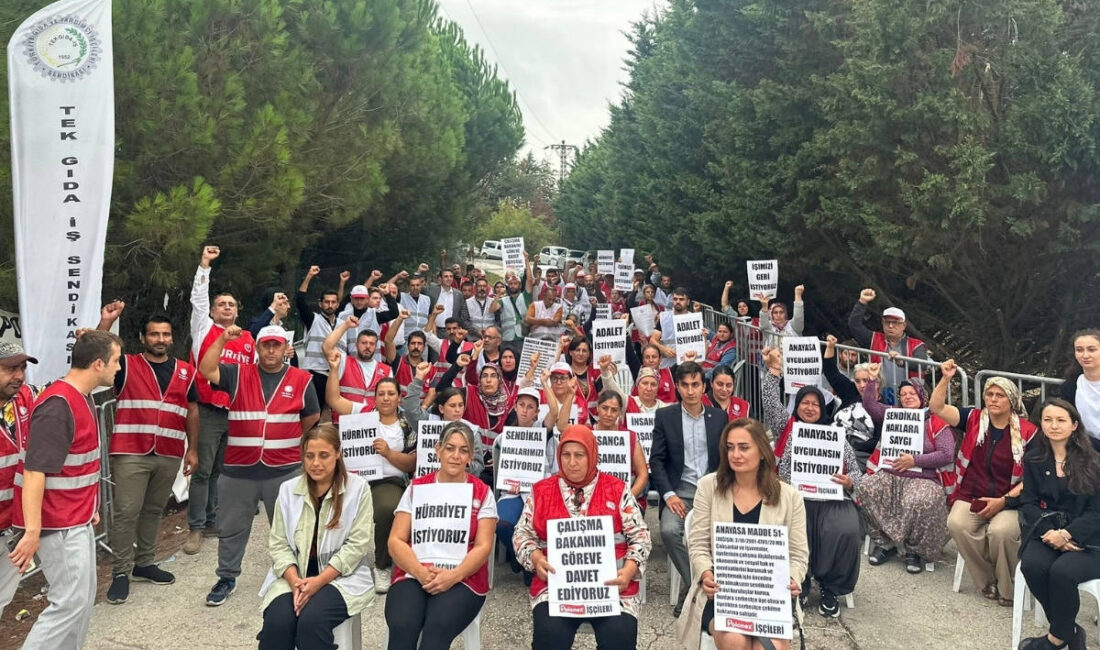 Polonez fabrikasında altı aydır