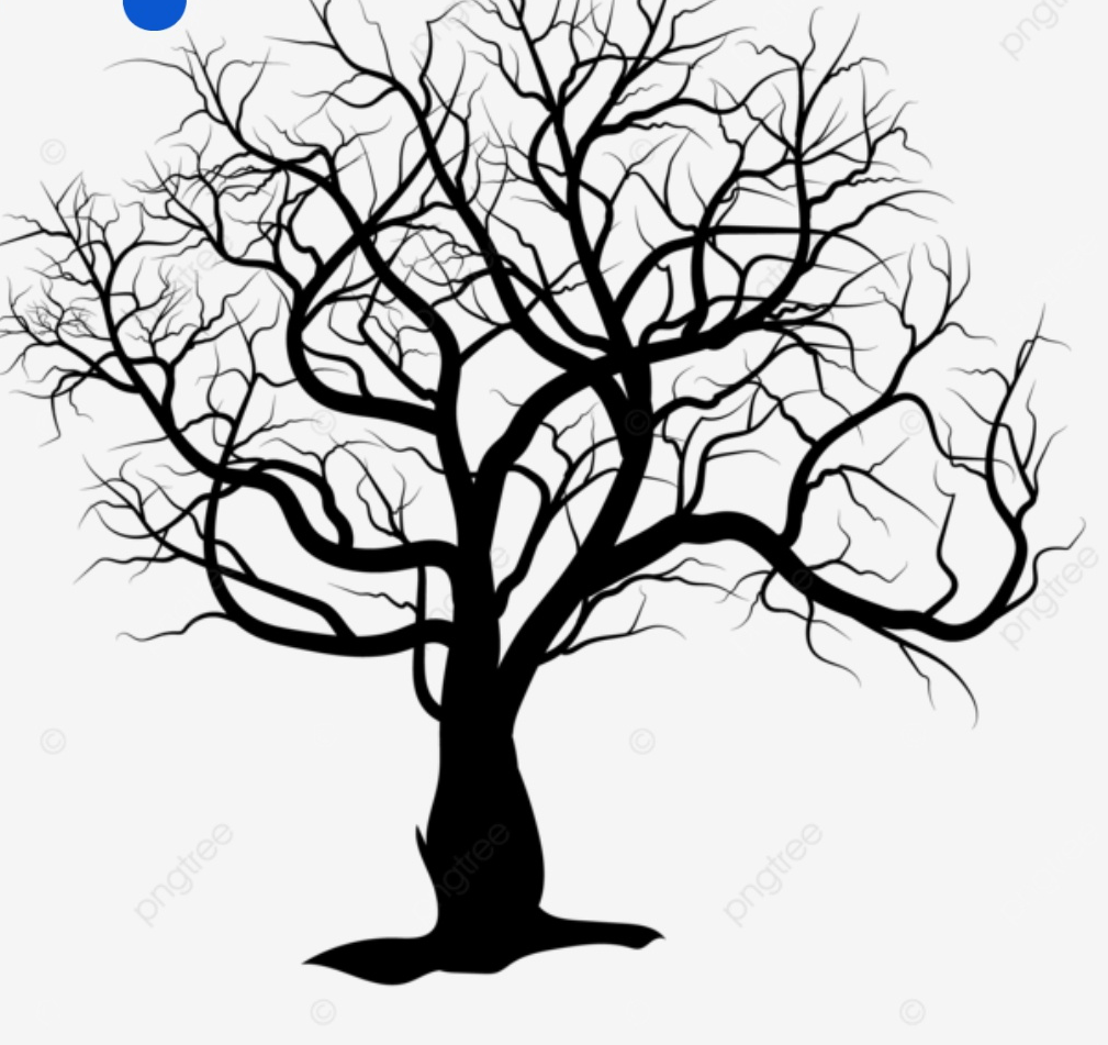 DEMOKRATİK KUTLU YOL